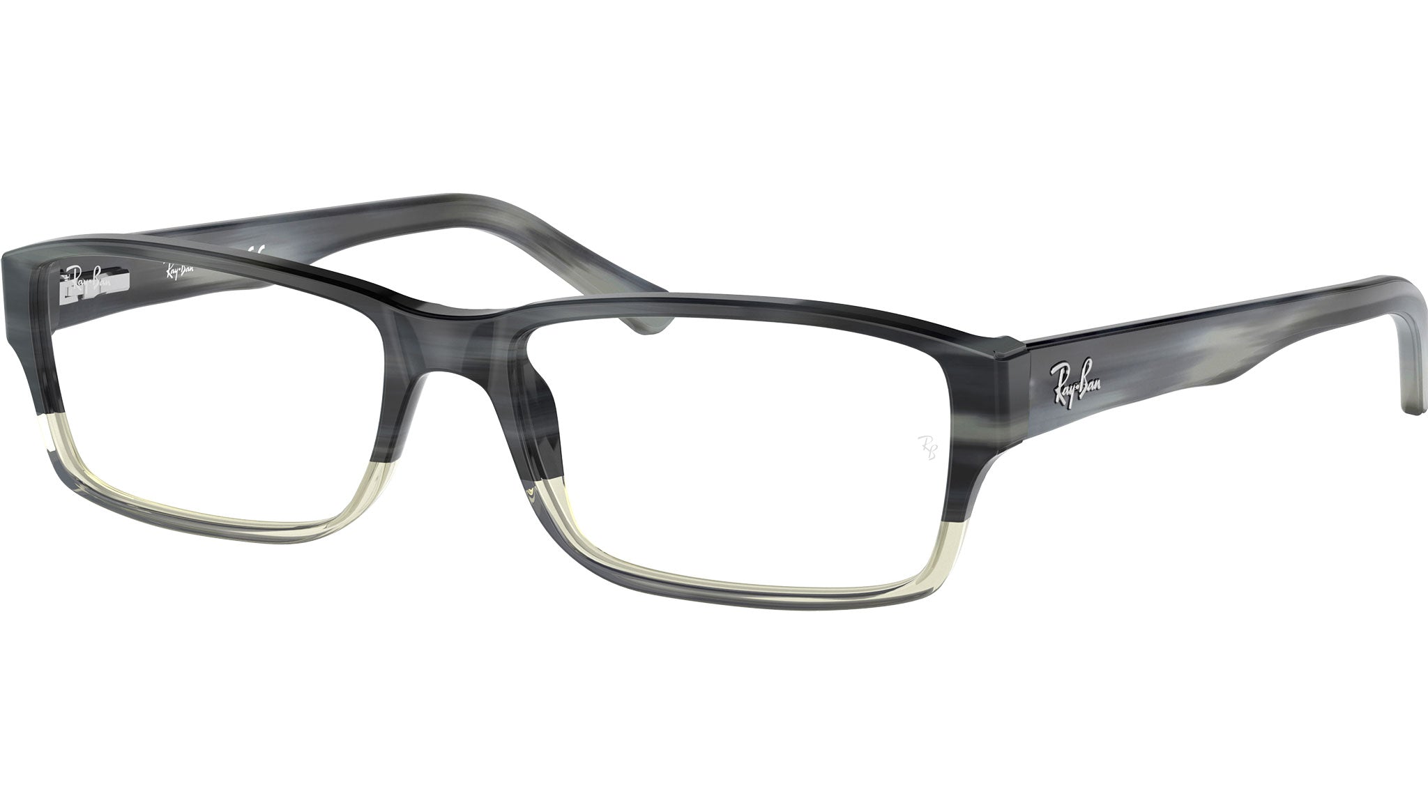 RB5169 Optics 5540