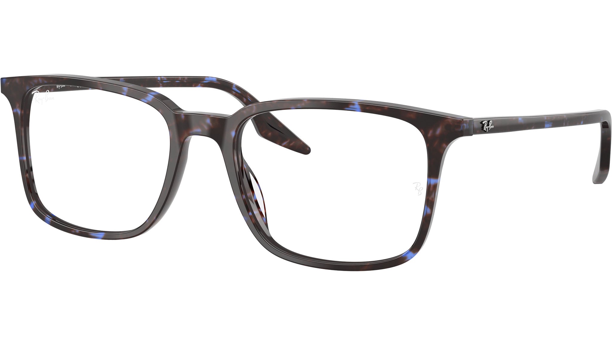 RB5421 Optics 8424
