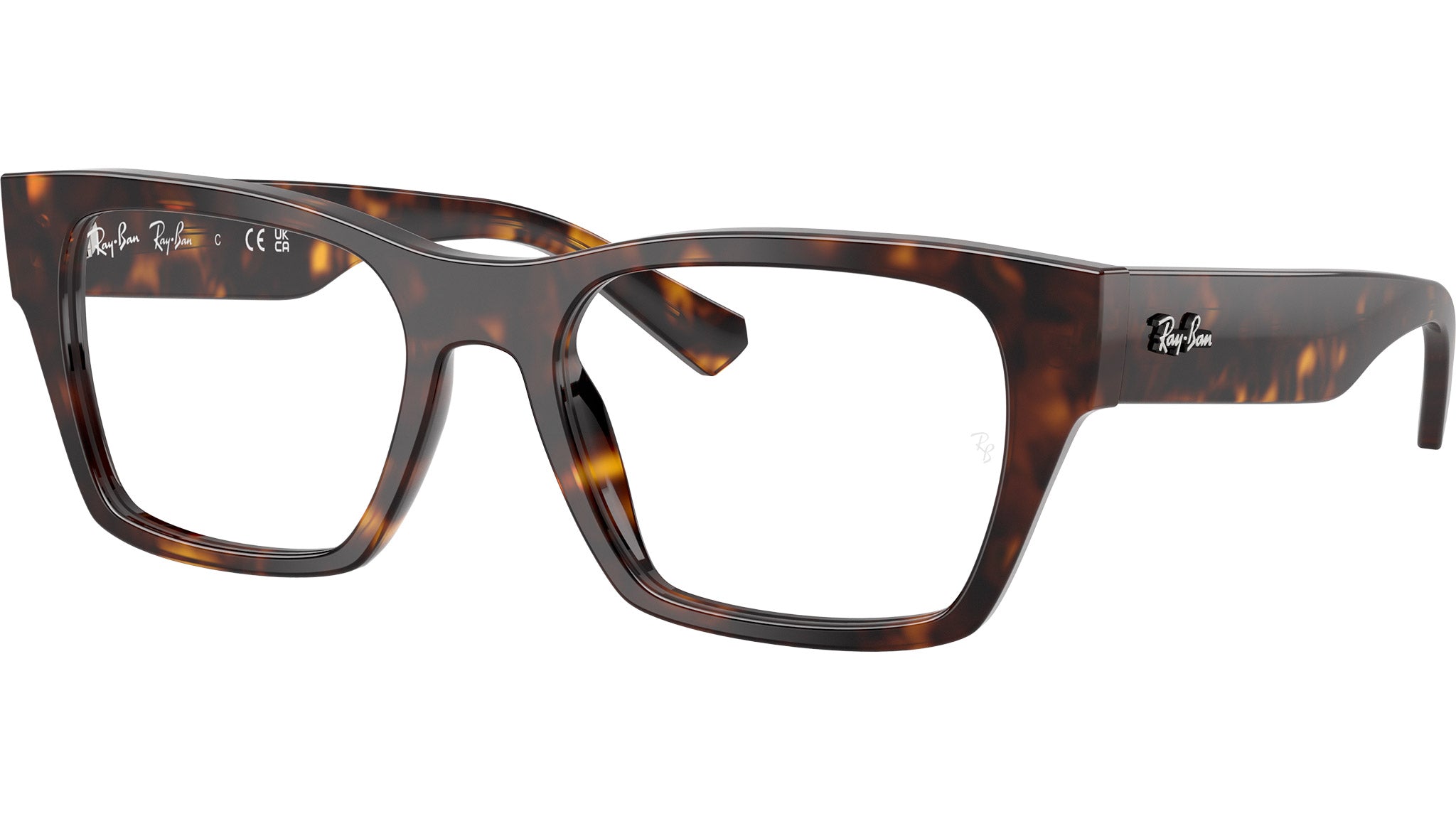 RB5448 Optics 2012