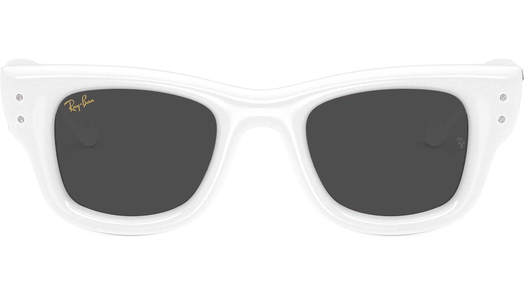 Wayfarer Puffer RB4940B 686387