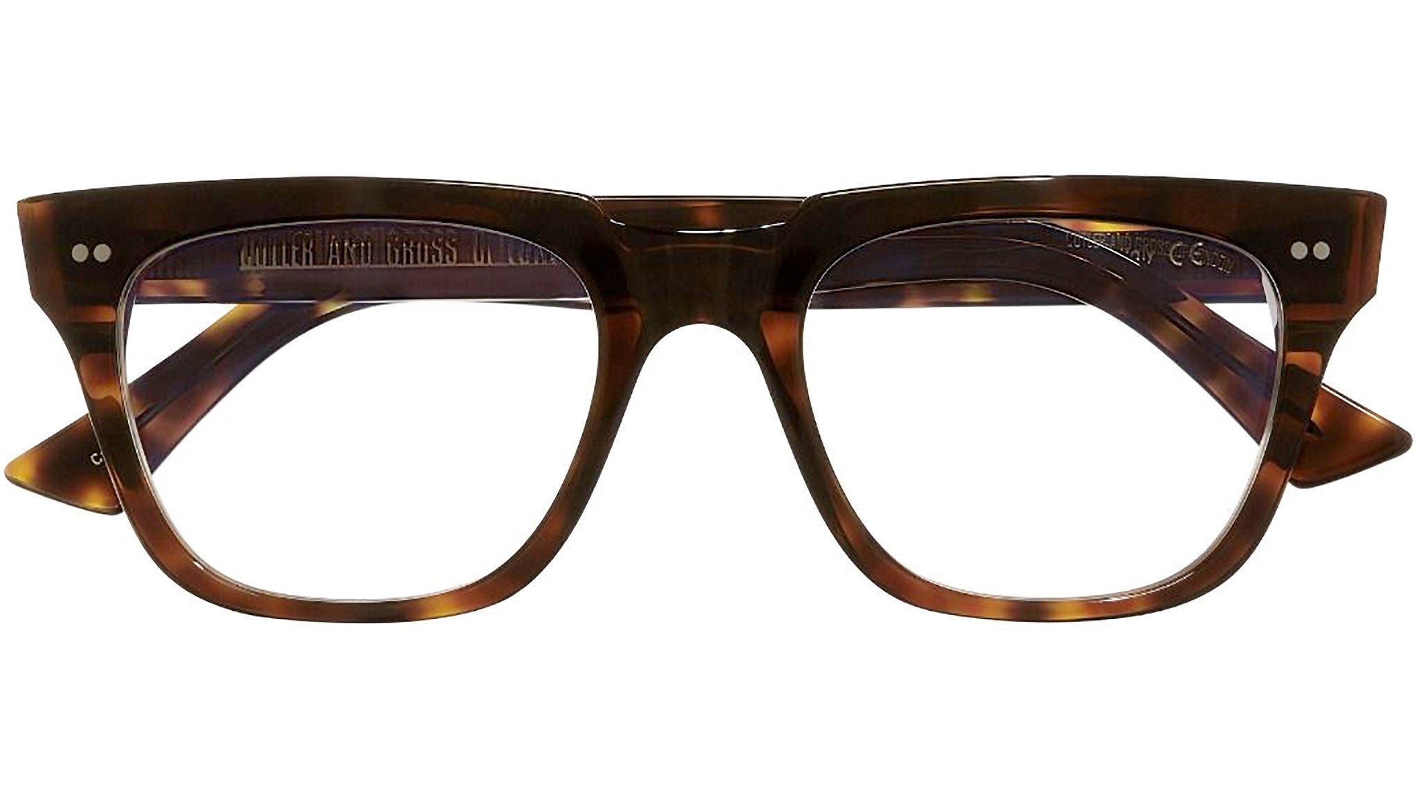 1381 Optical 02 Dark Turtle