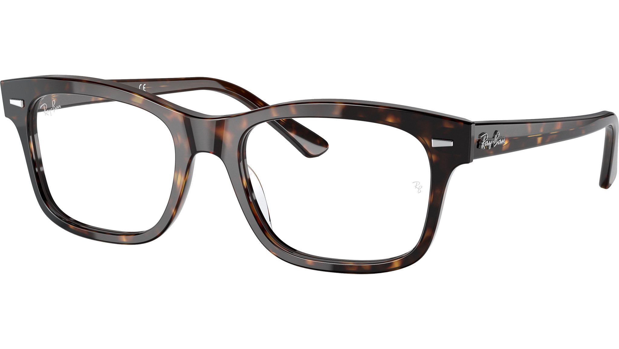 Mr Burbank Optics RB5383 2012